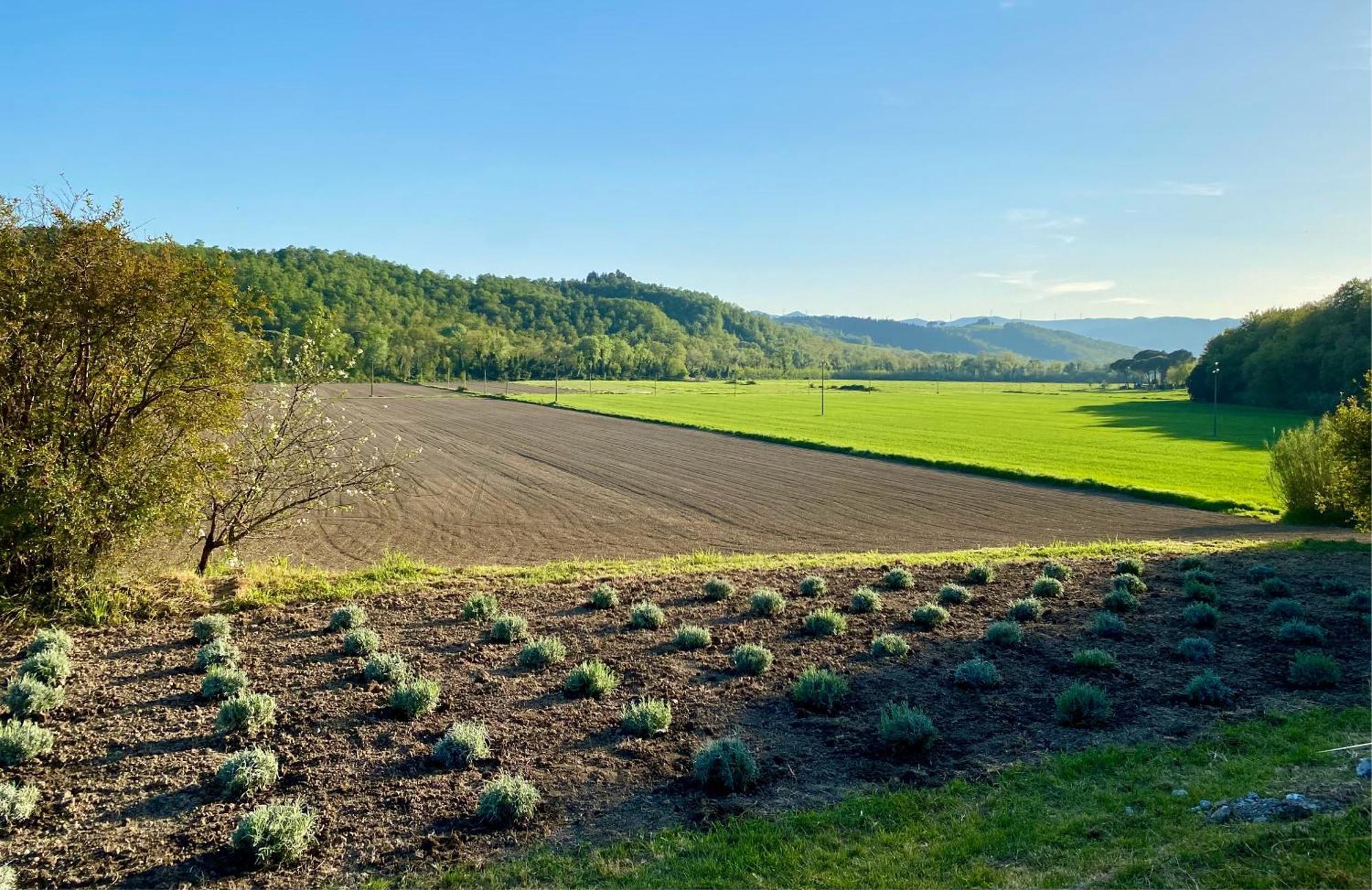Casa Vacanze Podere San Giusto Volterra Dış mekan fotoğraf