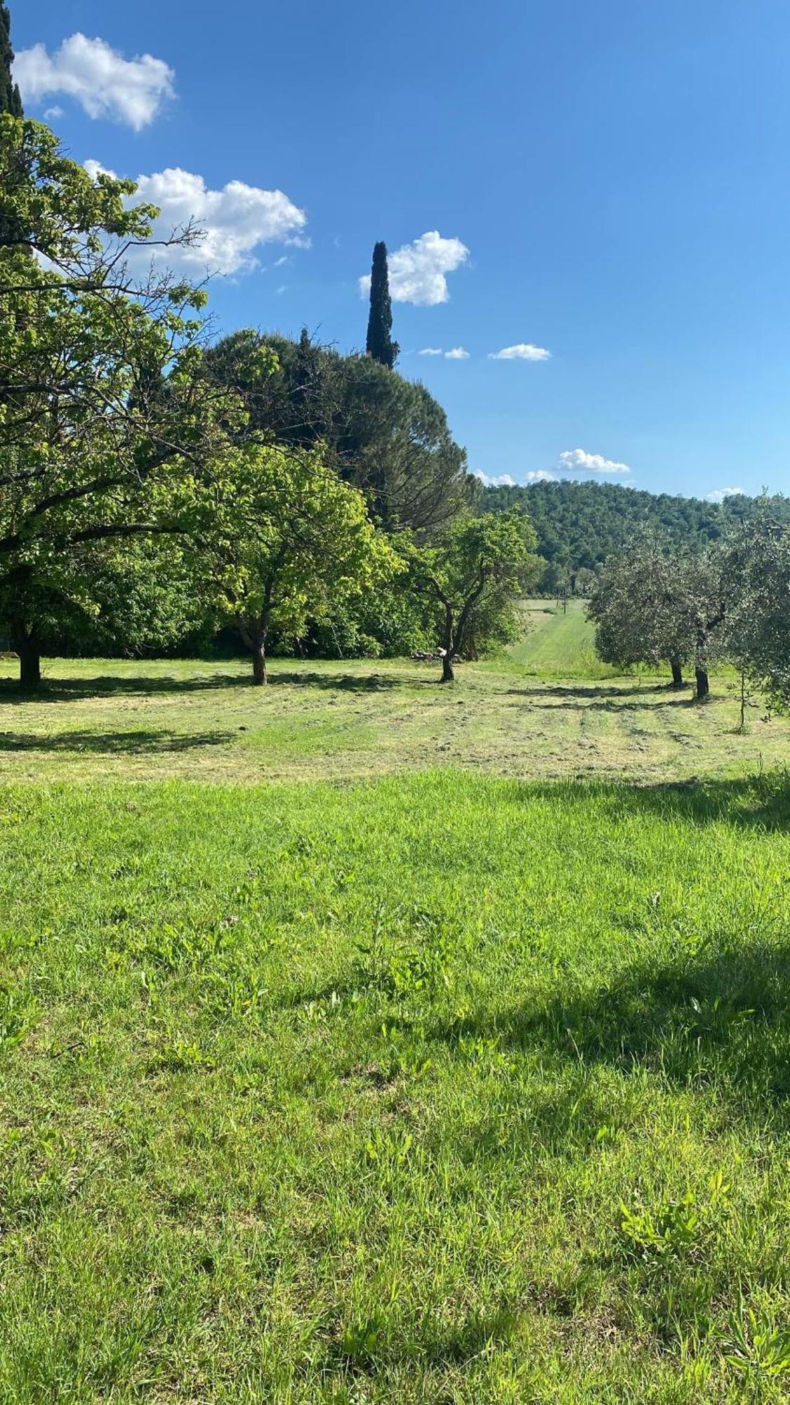 Casa Vacanze Podere San Giusto Volterra Dış mekan fotoğraf