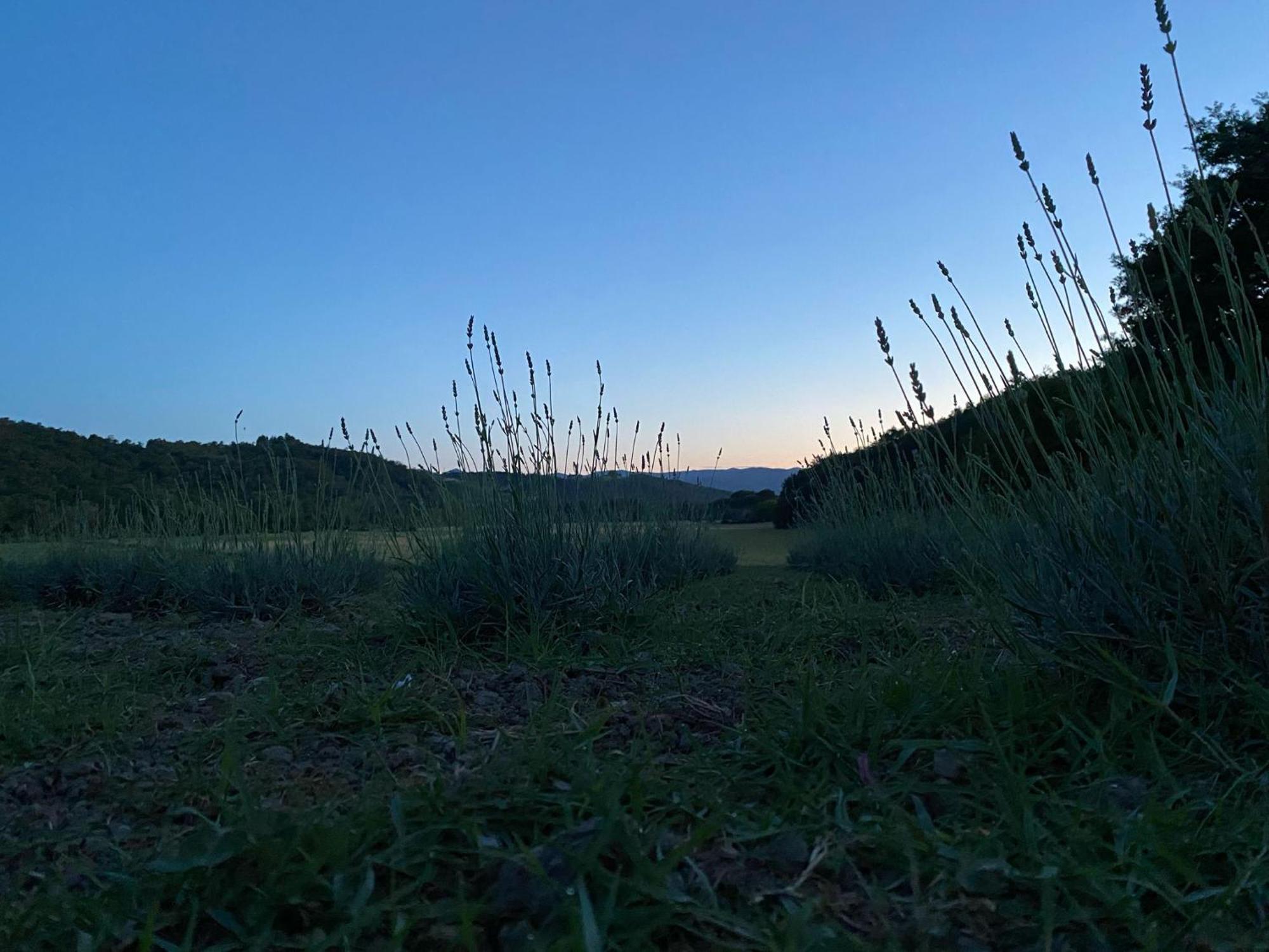 Casa Vacanze Podere San Giusto Volterra Dış mekan fotoğraf
